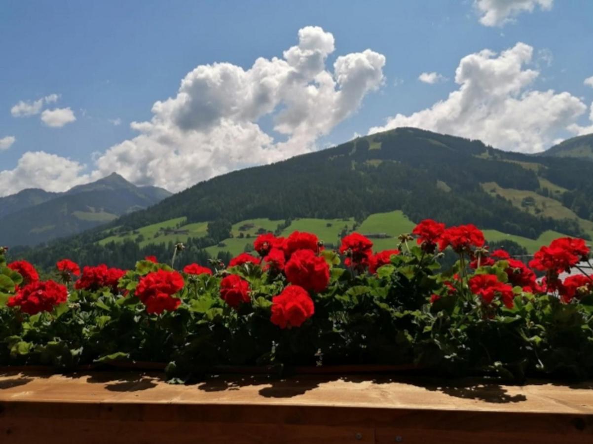 Apartamento Haus Raimund " Klein Aber Fein " Alpbach Exterior foto