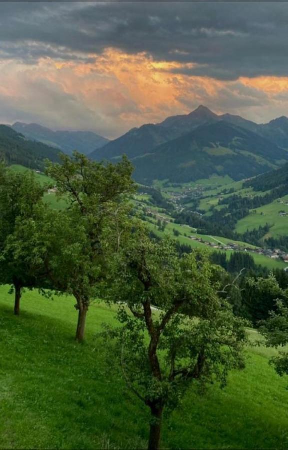 Apartamento Haus Raimund " Klein Aber Fein " Alpbach Exterior foto