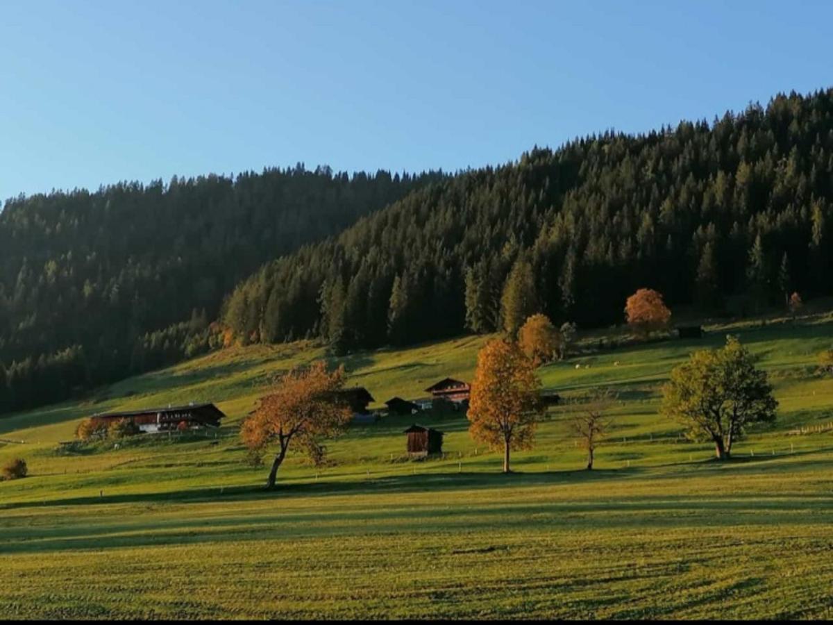 Apartamento Haus Raimund " Klein Aber Fein " Alpbach Exterior foto